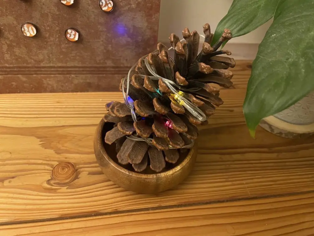 クリスマスも近いので、LEDライトを巻いてみました