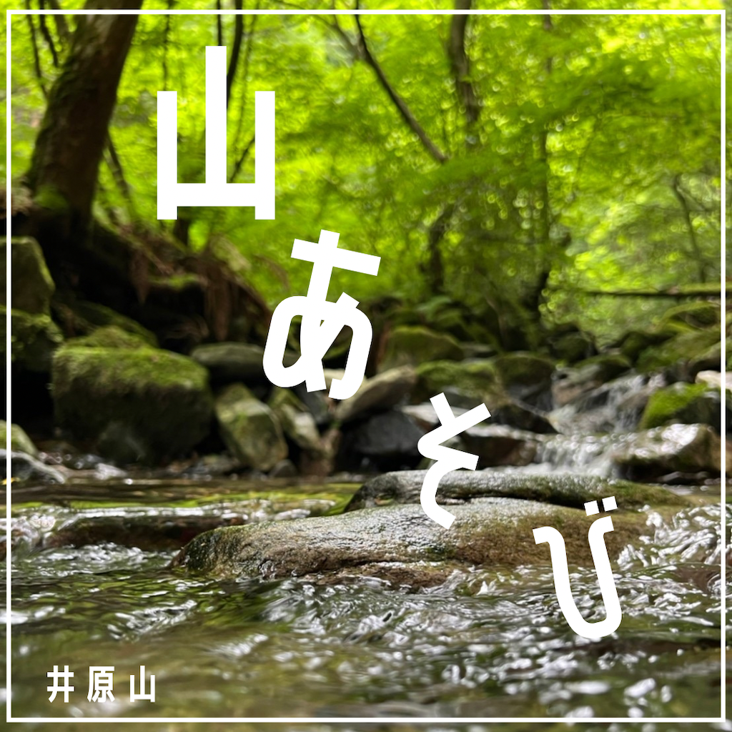 山遊び井原山