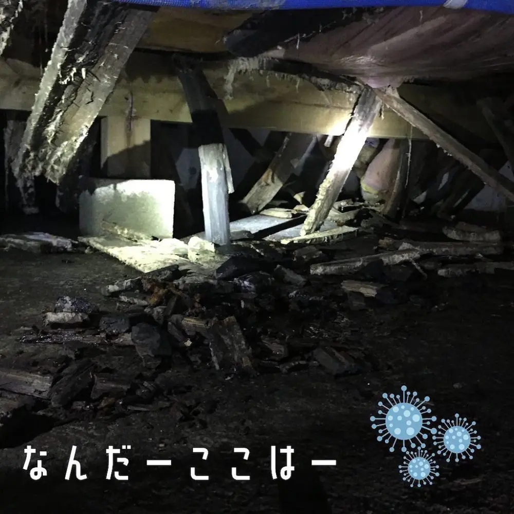 腐海探索?