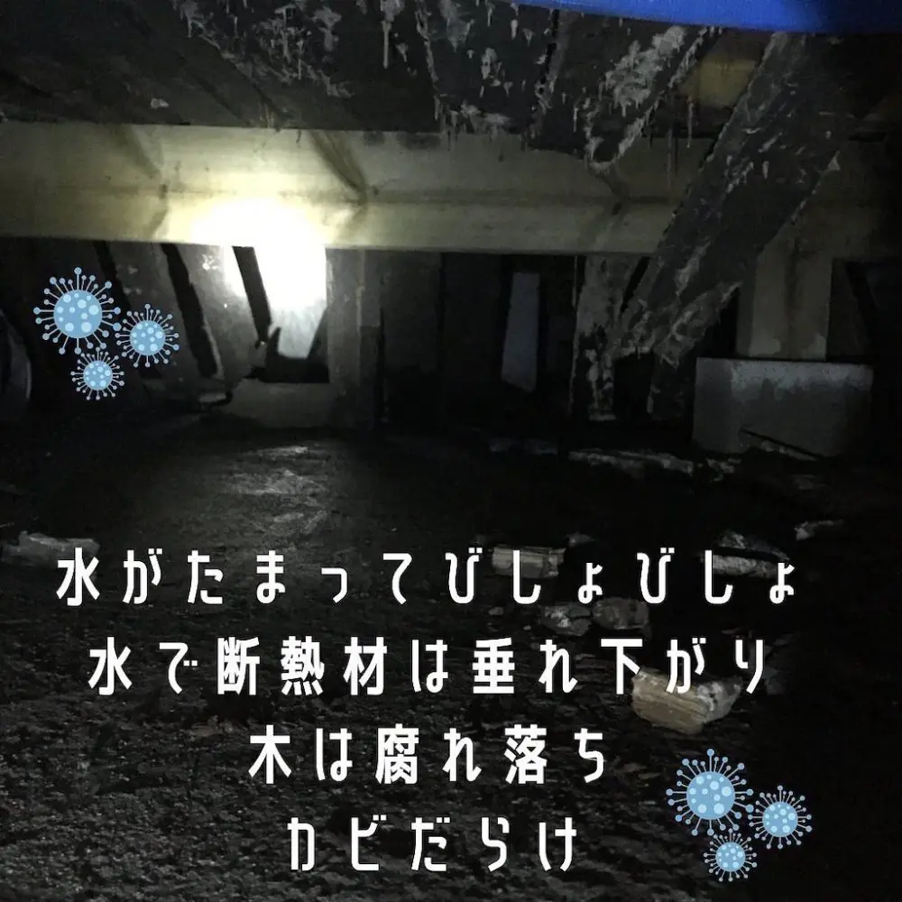 腐海探索?