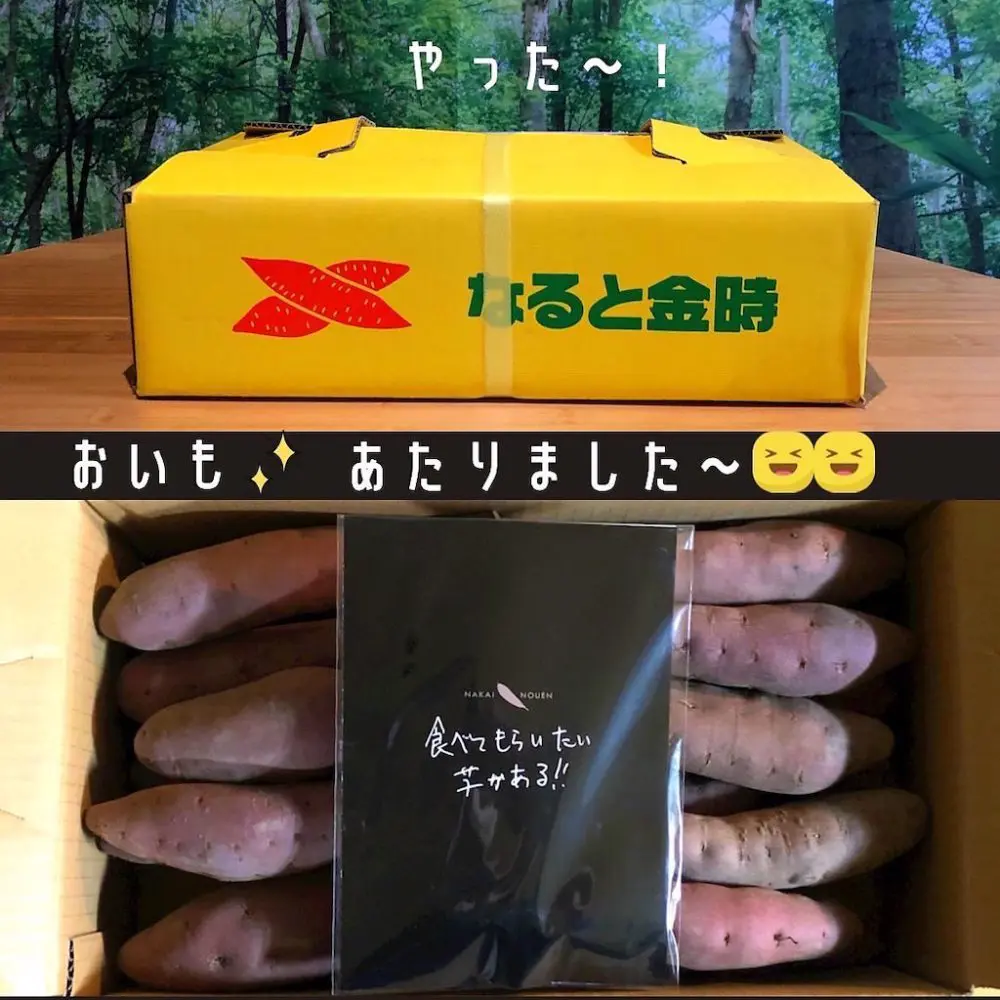 家キャン♪干し芋