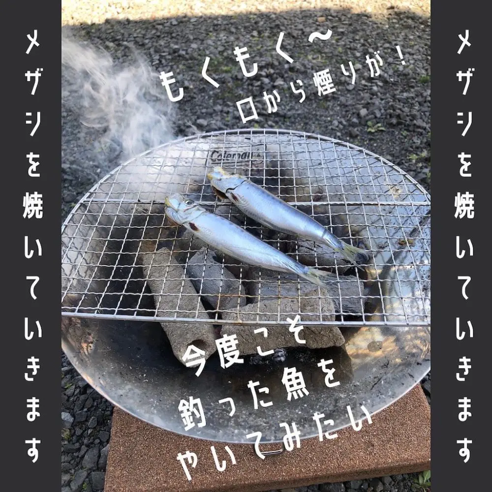 メザシ
