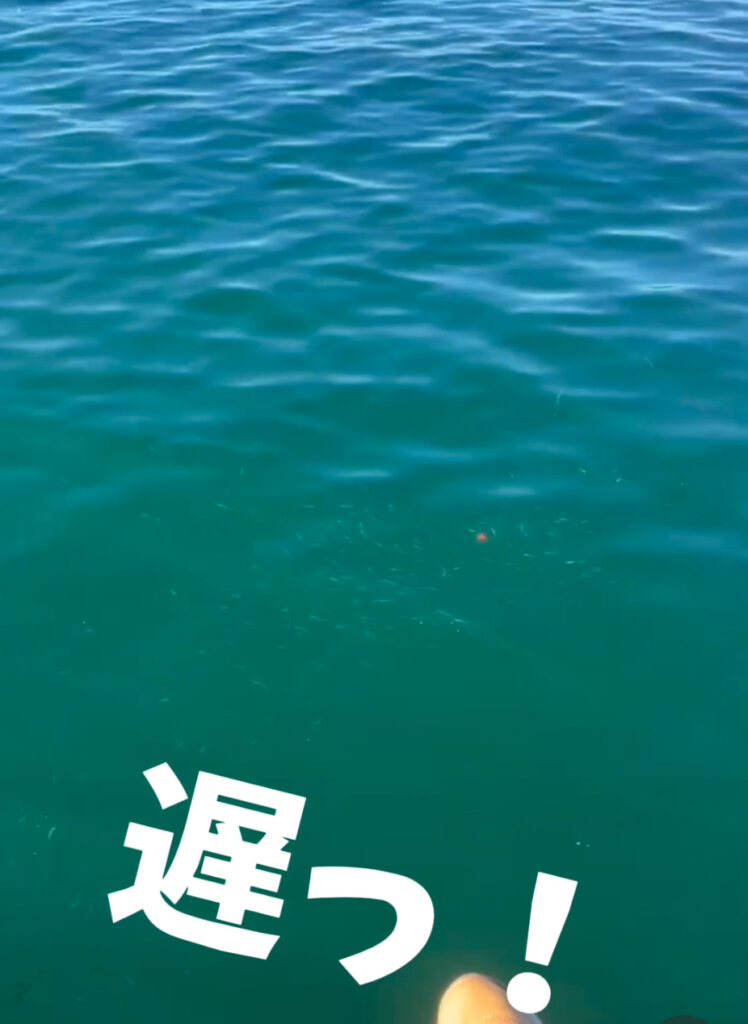 オレの釣り
