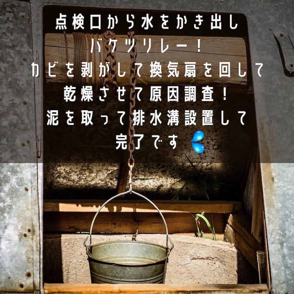 腐海の世界も美しく喜んで浄化いたします