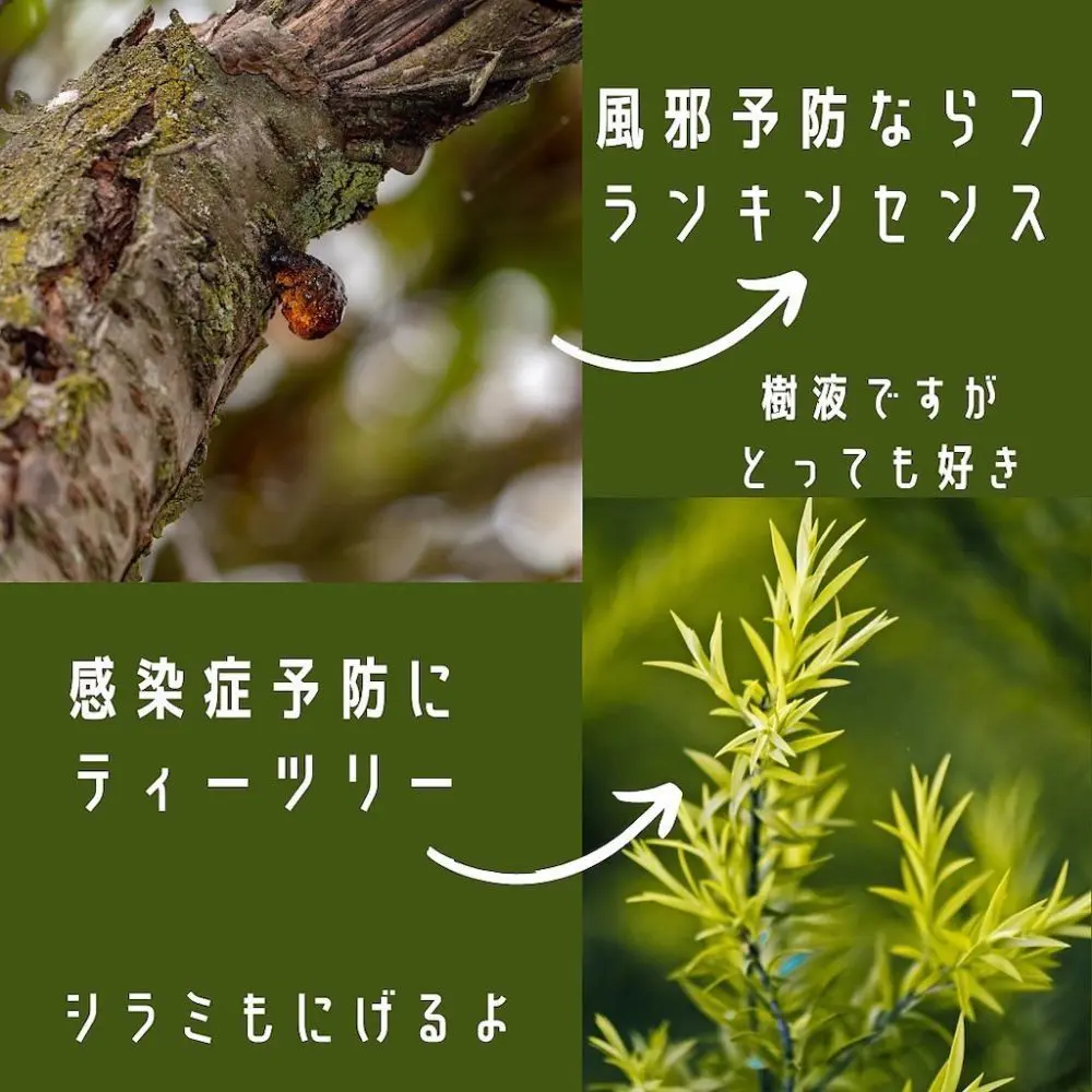 その日の体調や好みや効果などを考慮して選んでいきます