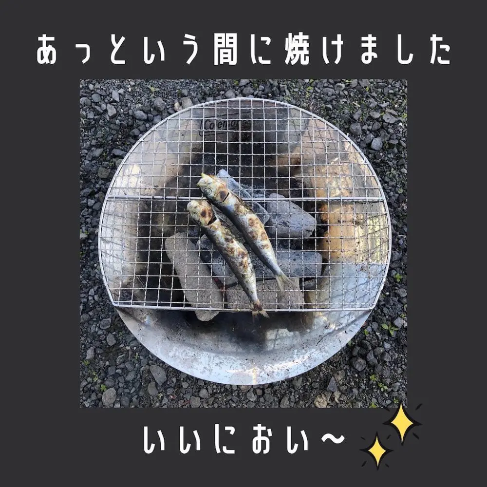 メザシ