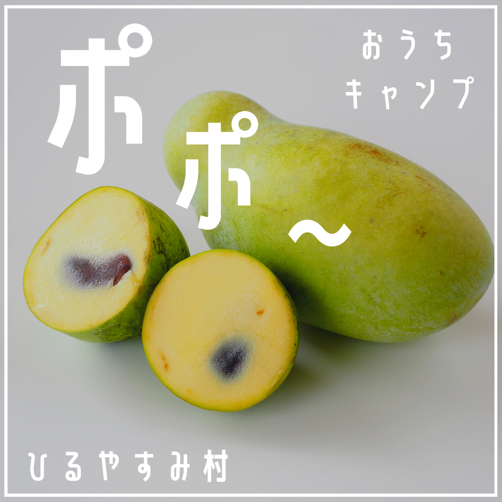 家キャン♪ポポ〜