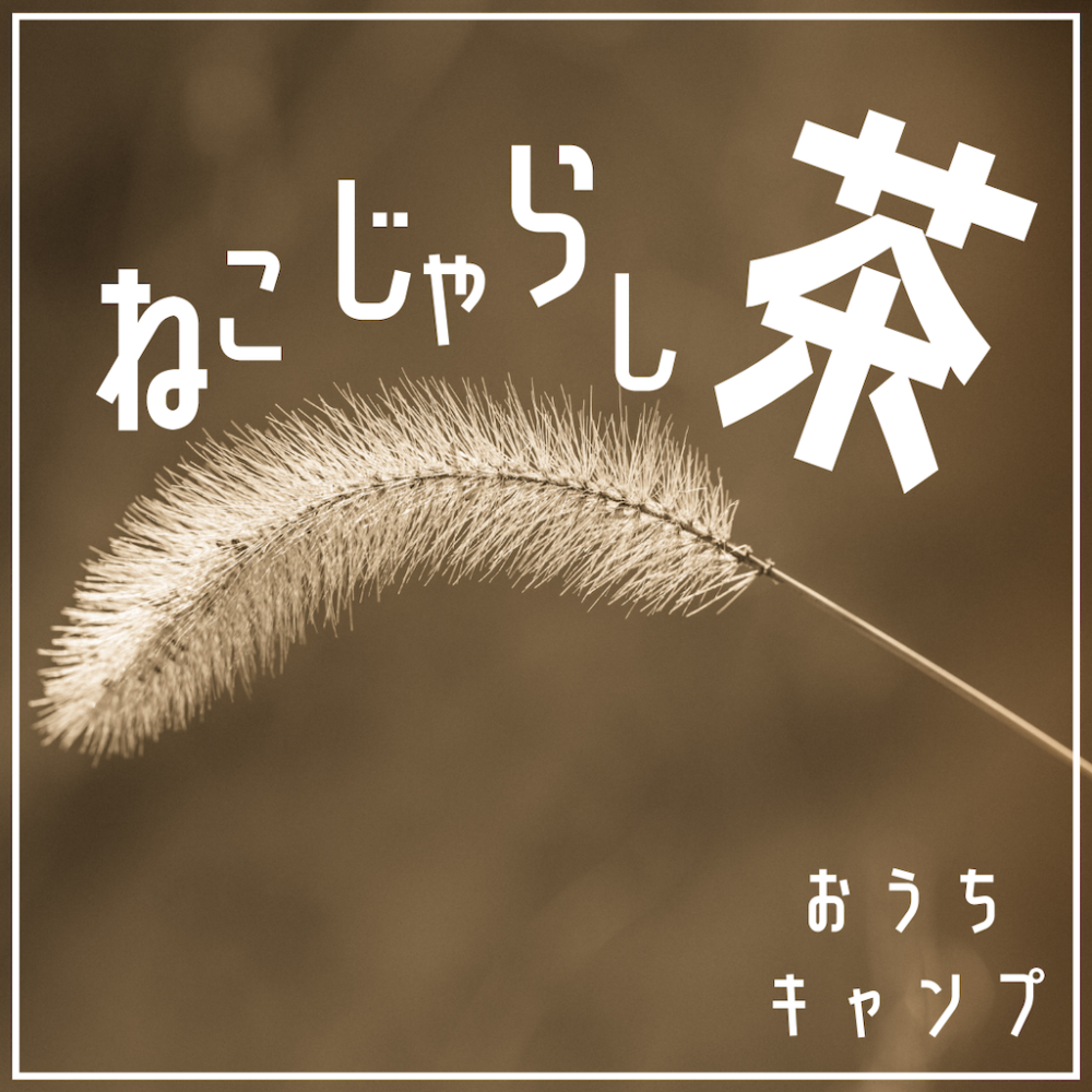 家キャン♪猫じゃらし茶