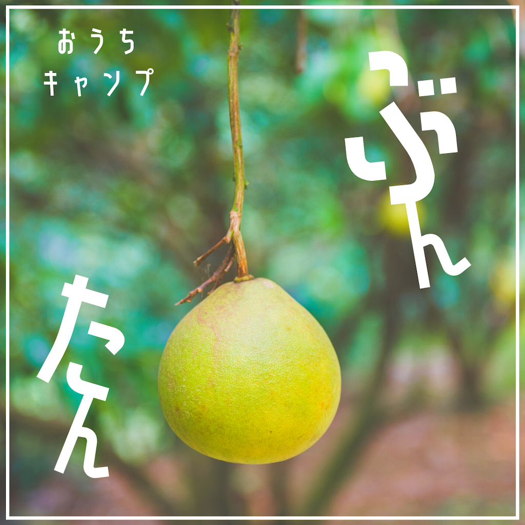 家キャン♪ぶんたん