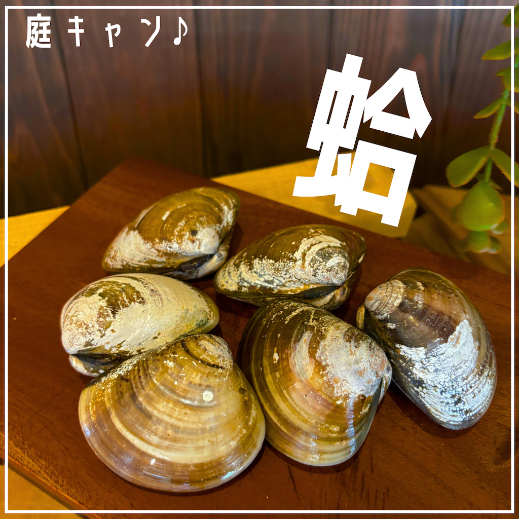 庭キャン♪蛤飯