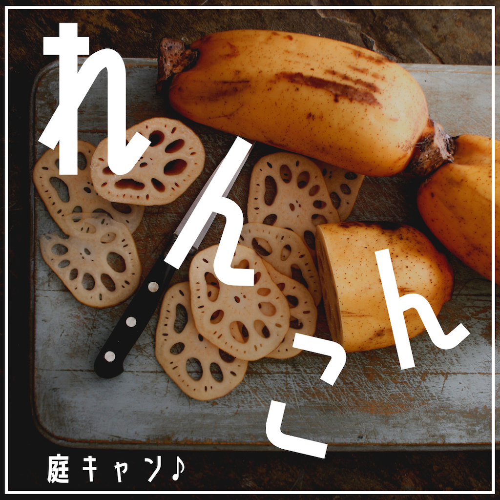 庭キャン♪蓮根