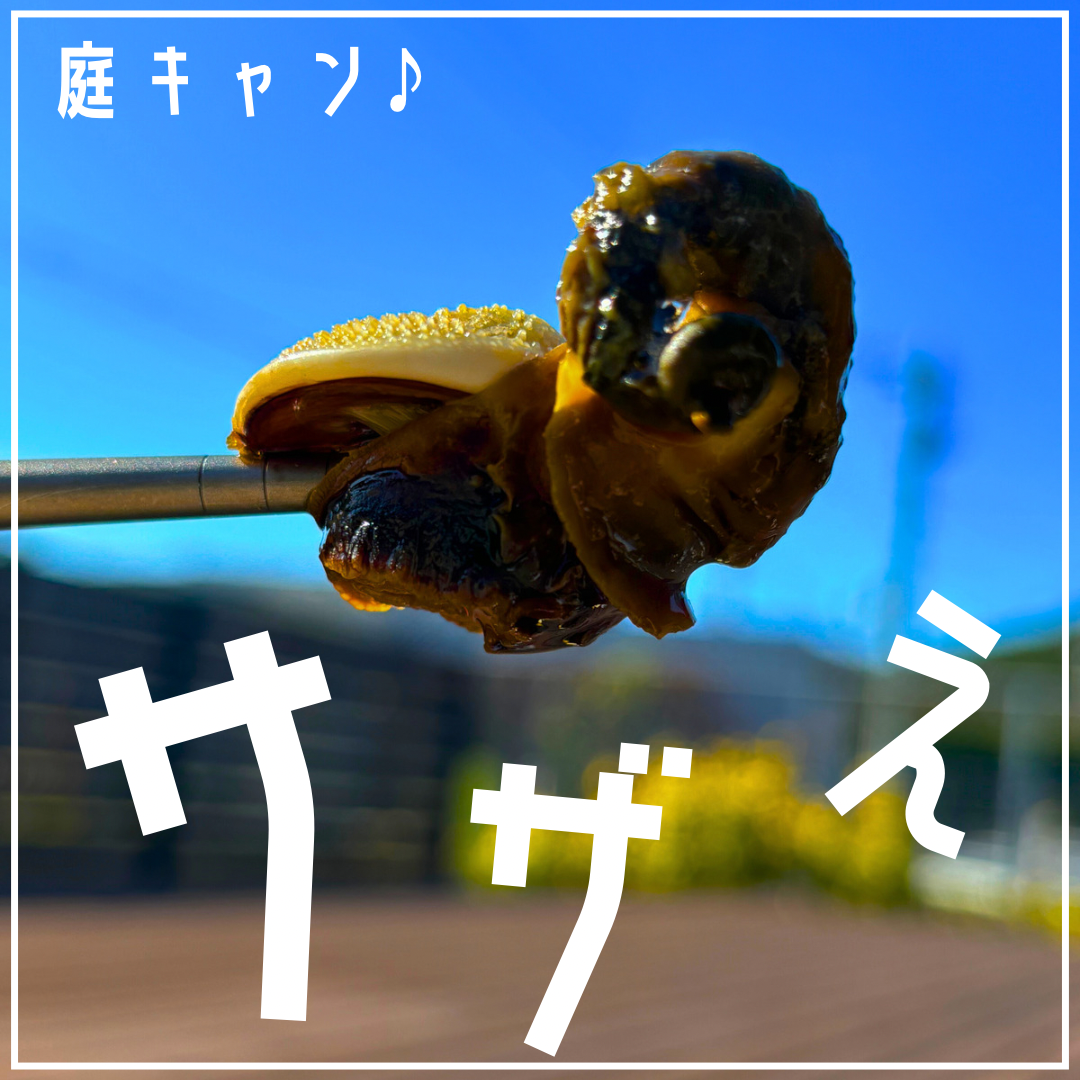 庭キャン♪サザエの壺焼き
