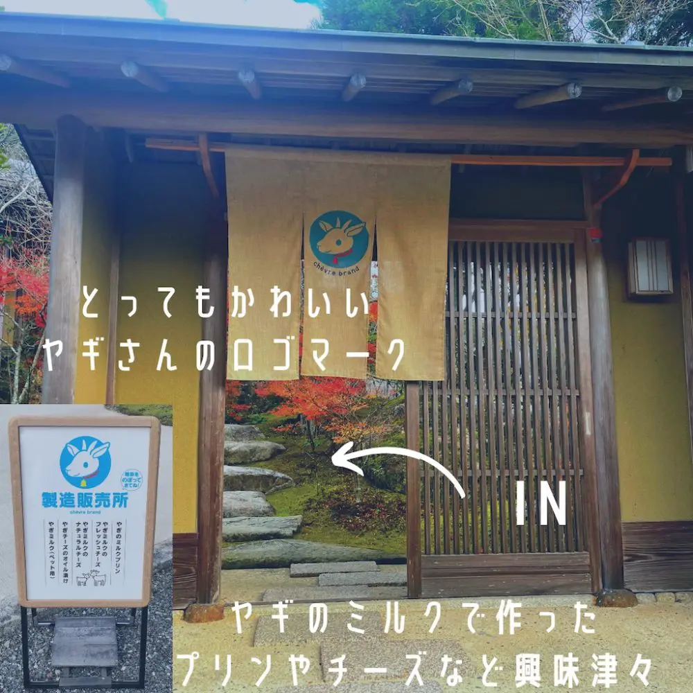糸島ヤギ牧場に行ってきました