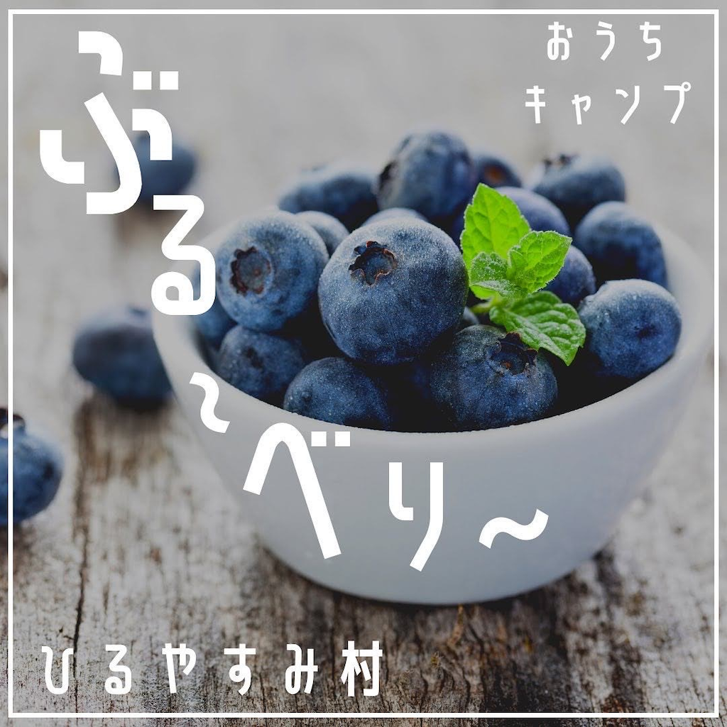 ひるやすみ村ブルーベリー