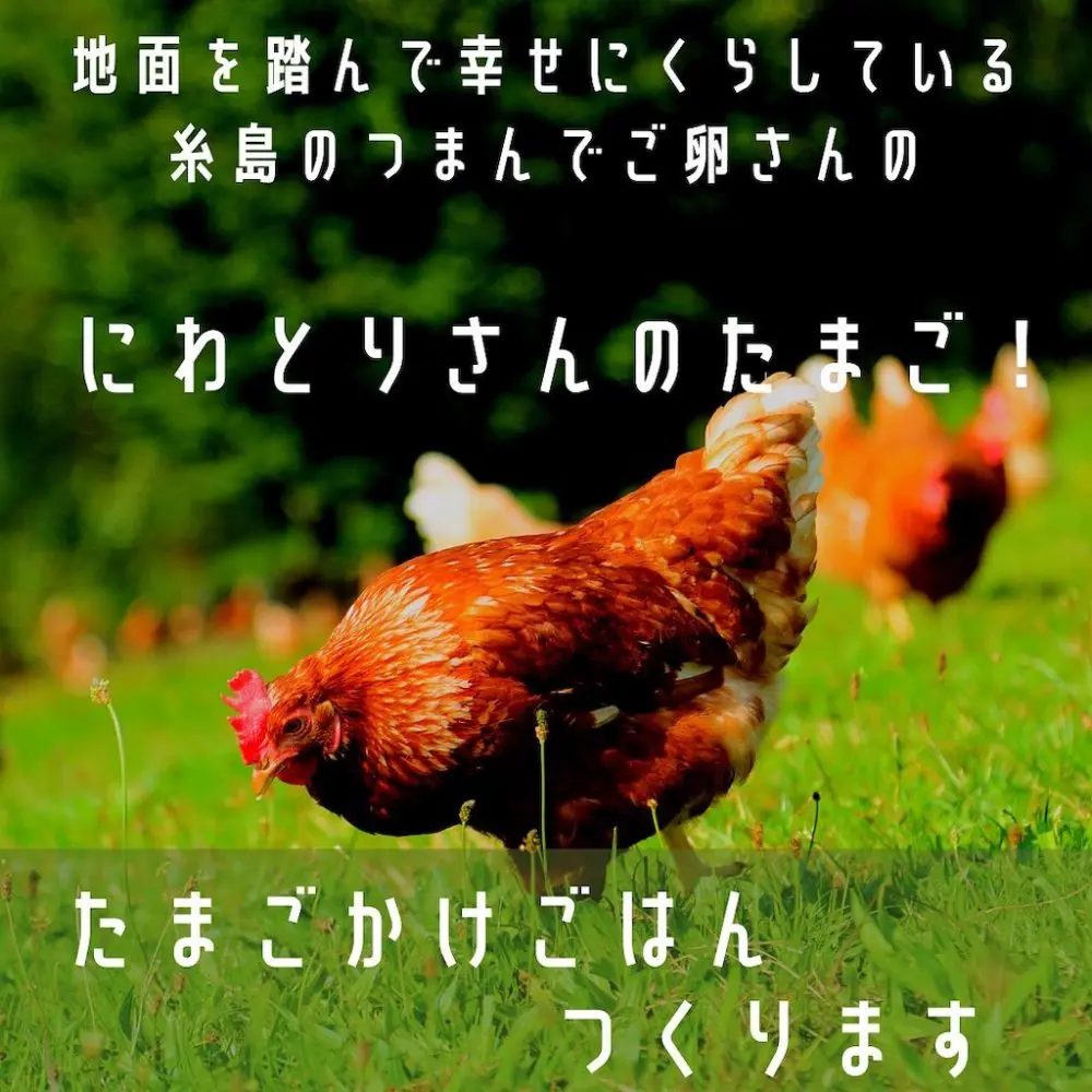家キャン♪ つまんでご卵