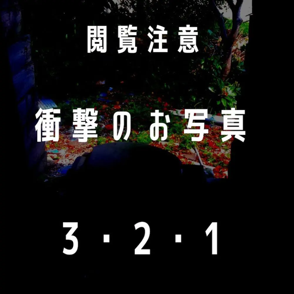 朽ち果てたトイレの復活！