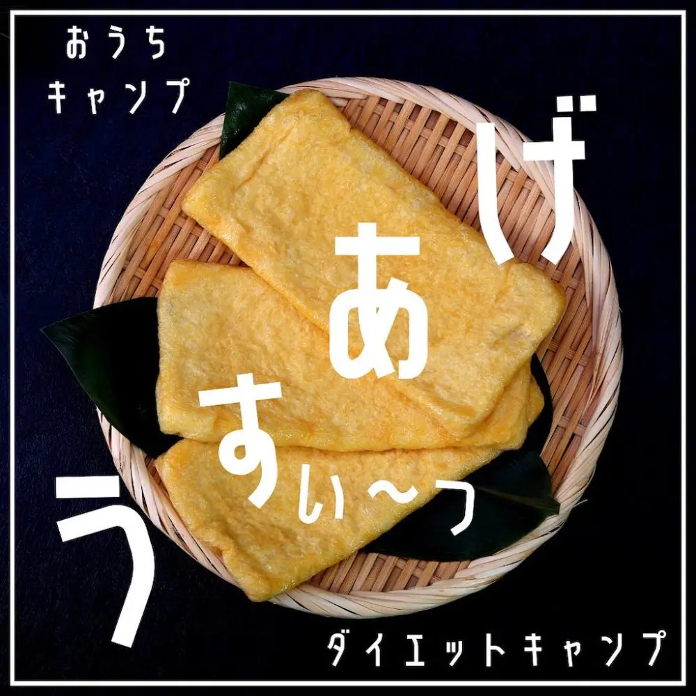 家キャン♪薄揚げ