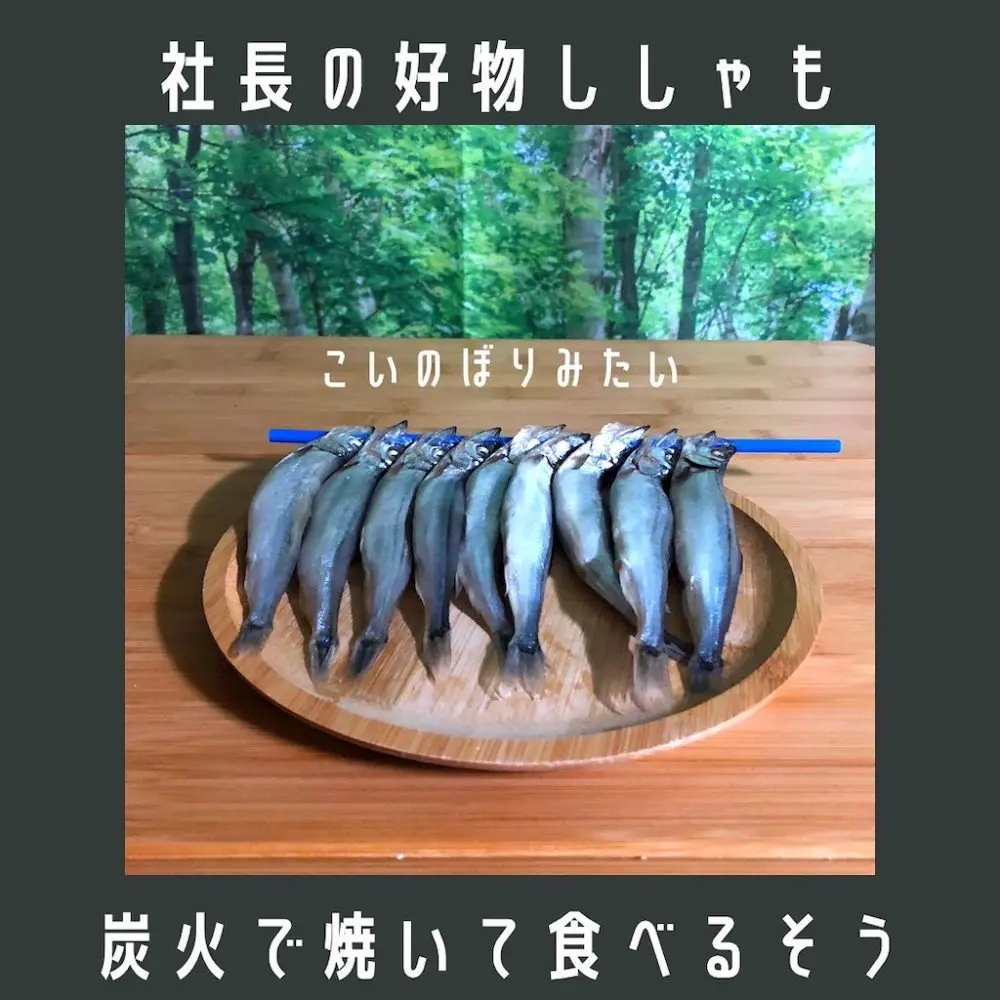 家キャン♪ししゃもパン