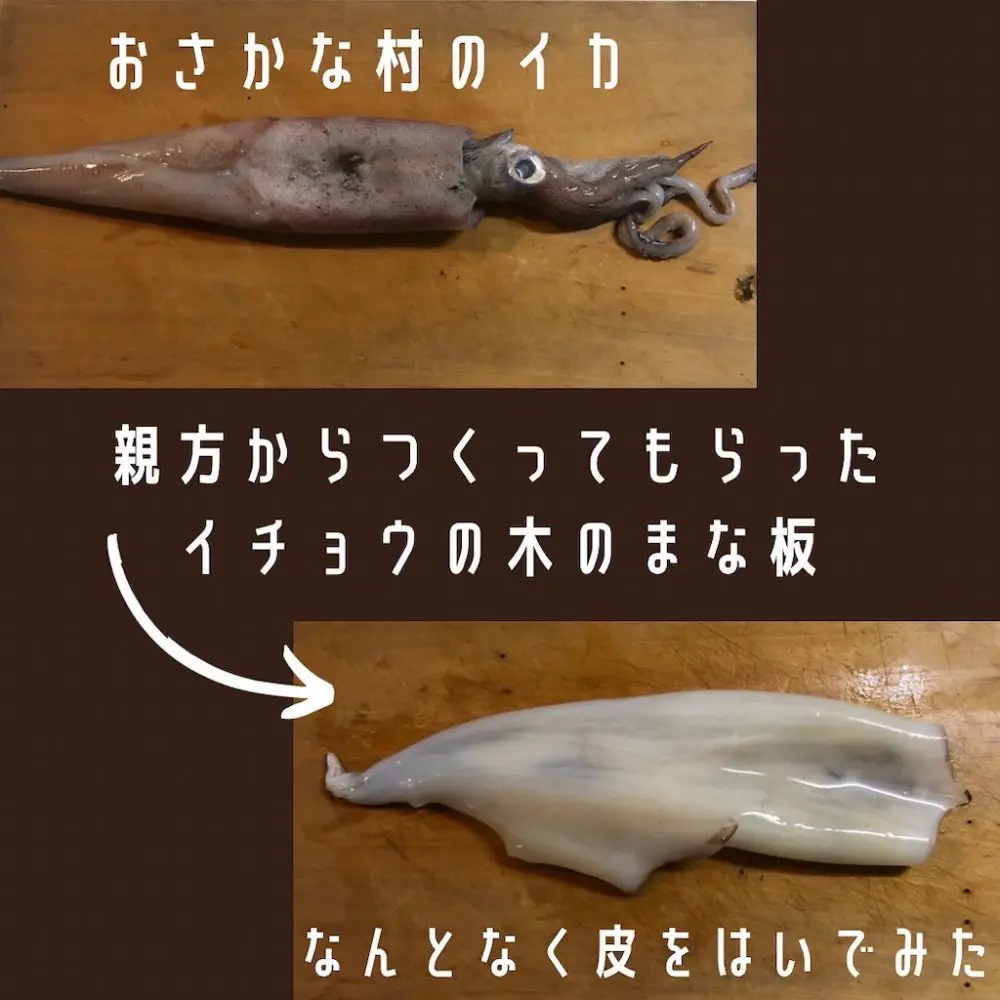 家キャン♪いかめし