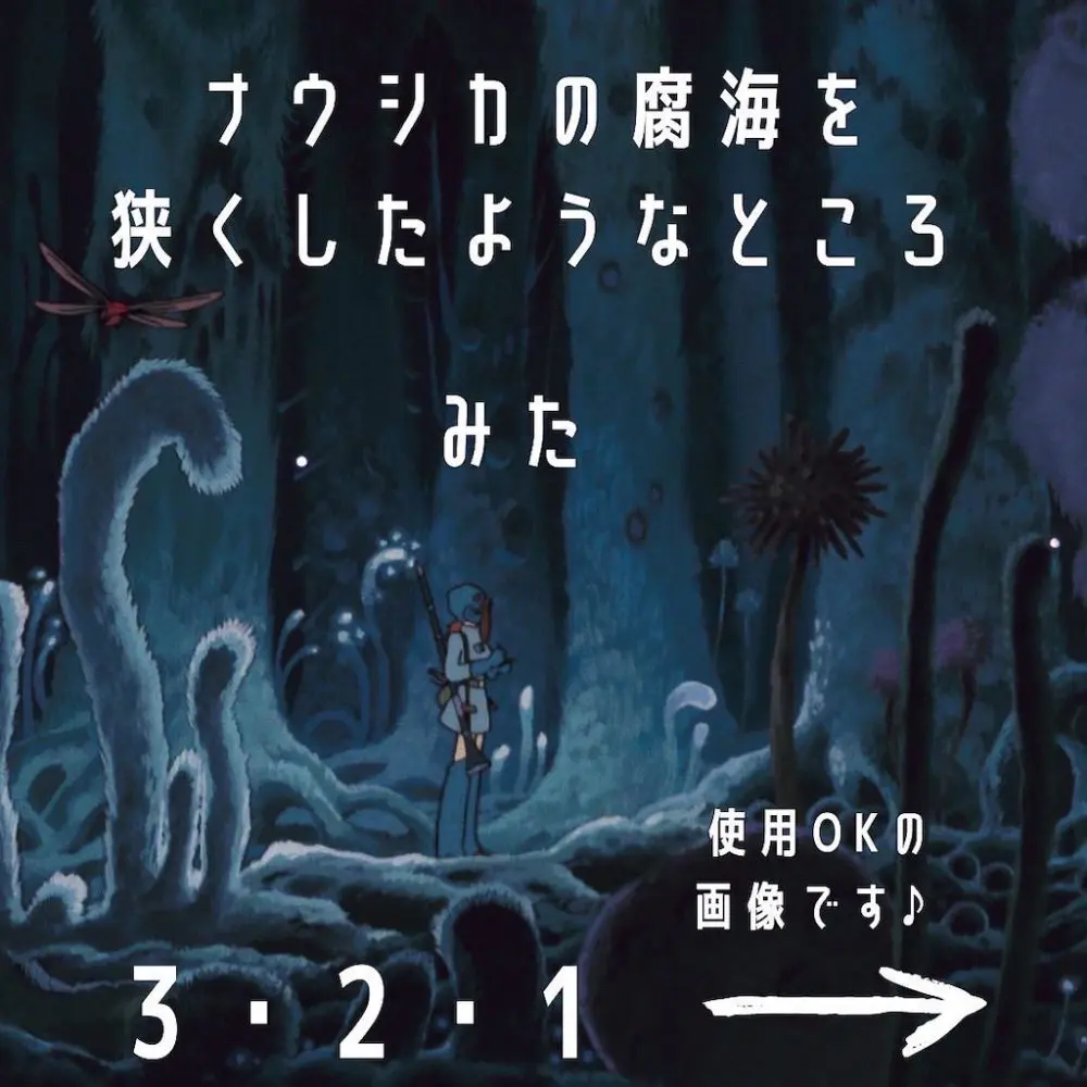 腐海探索?