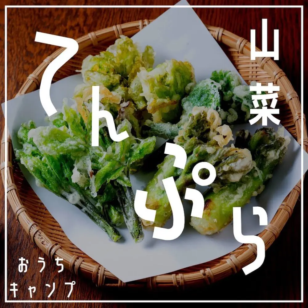 家キャン♪山菜のてんぷら