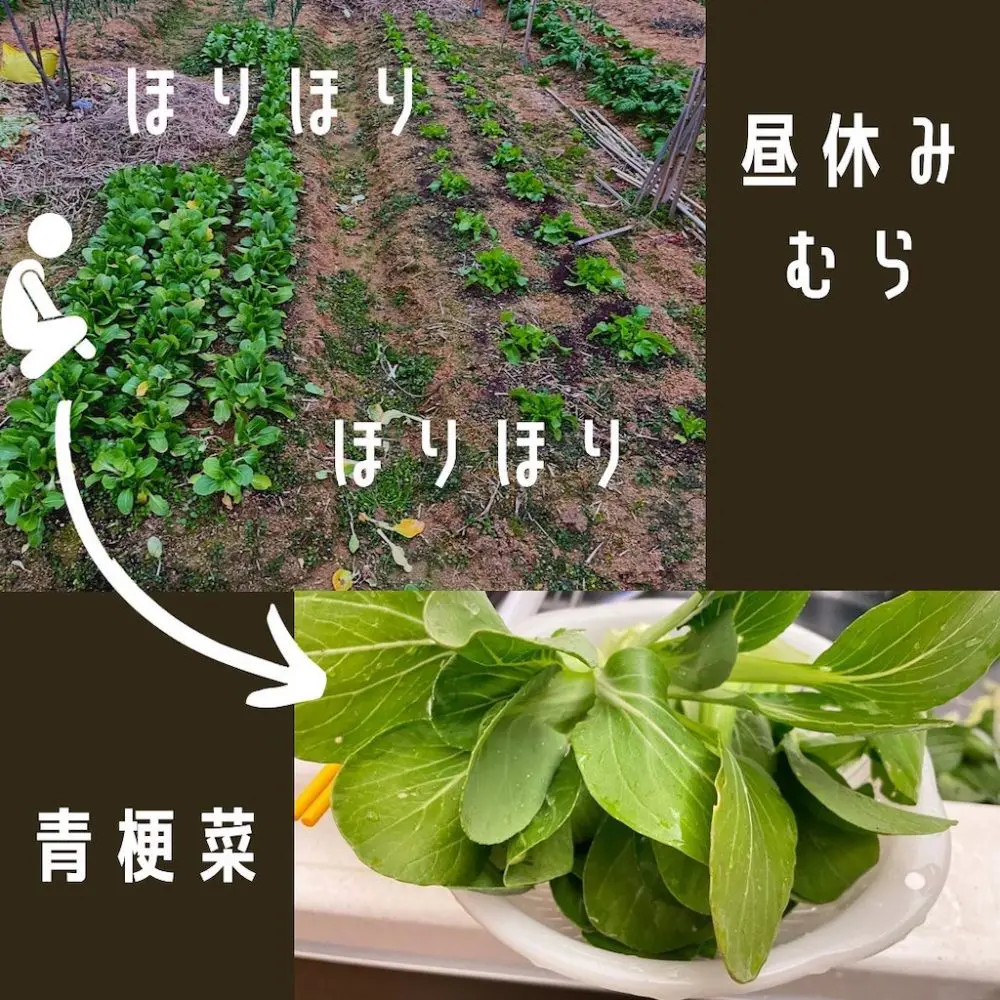 ひるやすみ村２✨