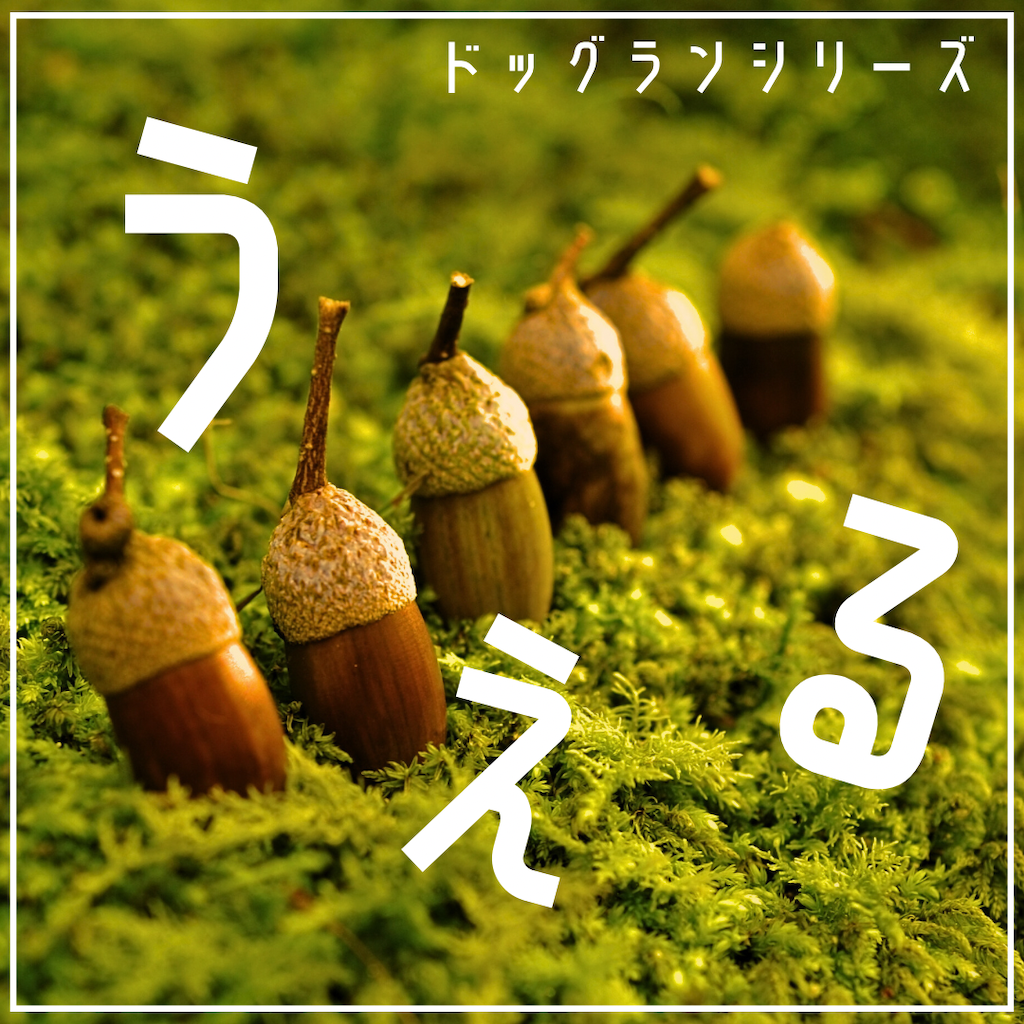 ドッグランシリーズ植える