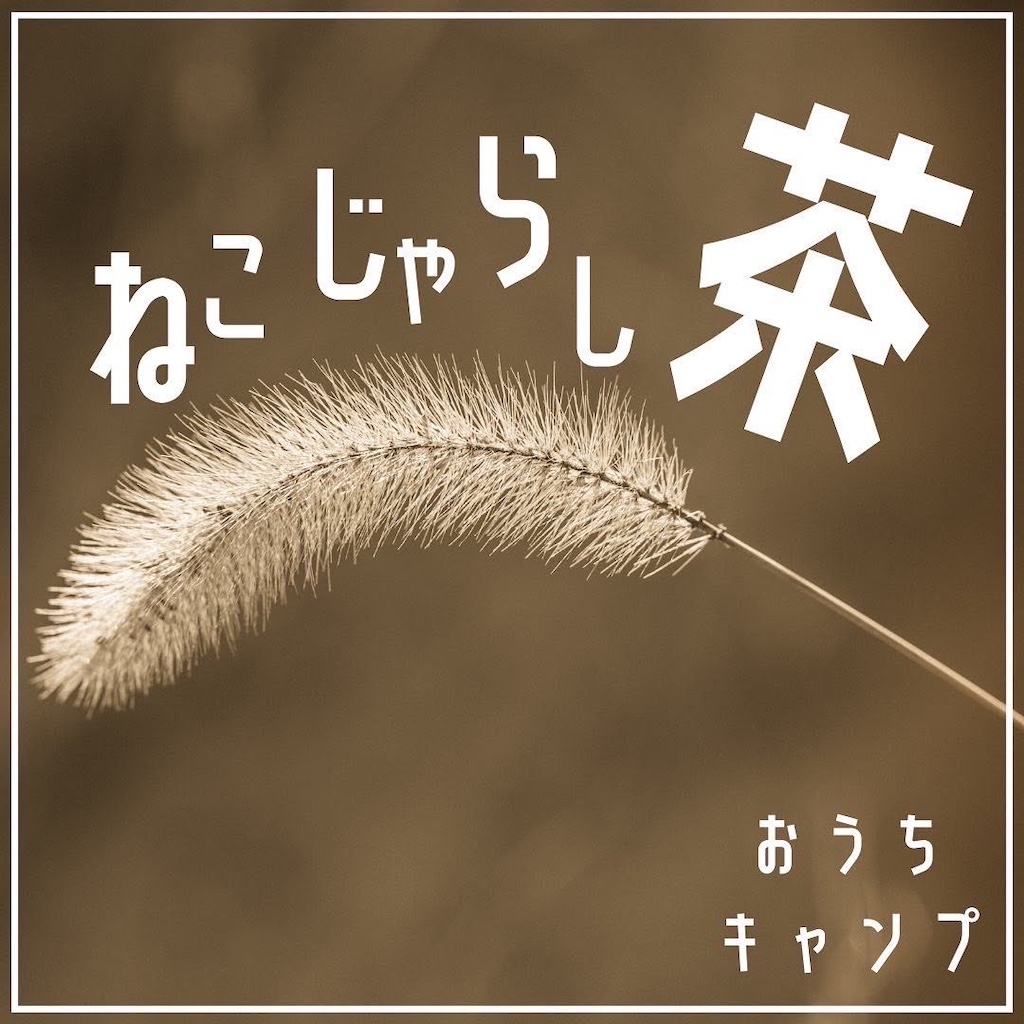 家キャン♪ねこじゃらし茶