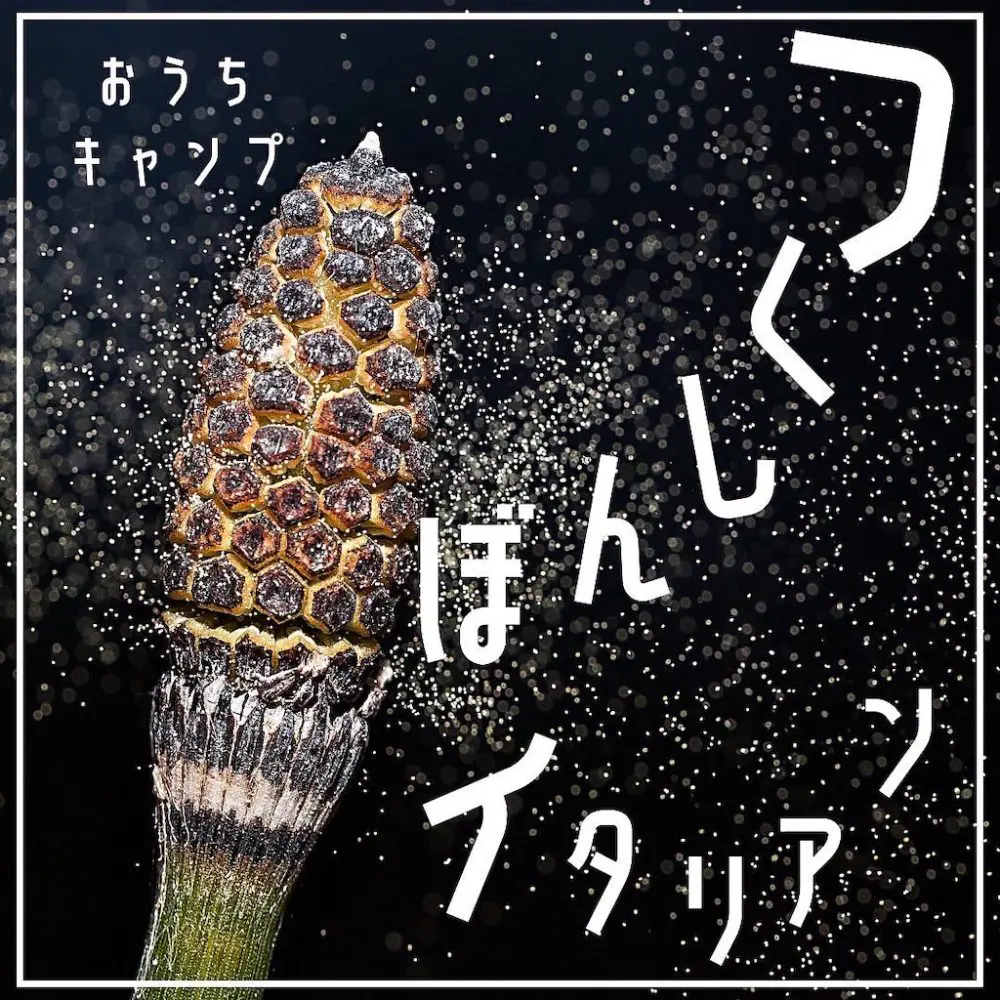 家キャン♪つくしんぼイタリアン