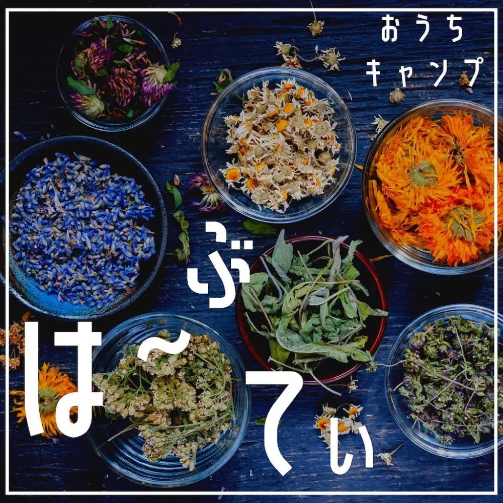 家キャン♪ハーブティ