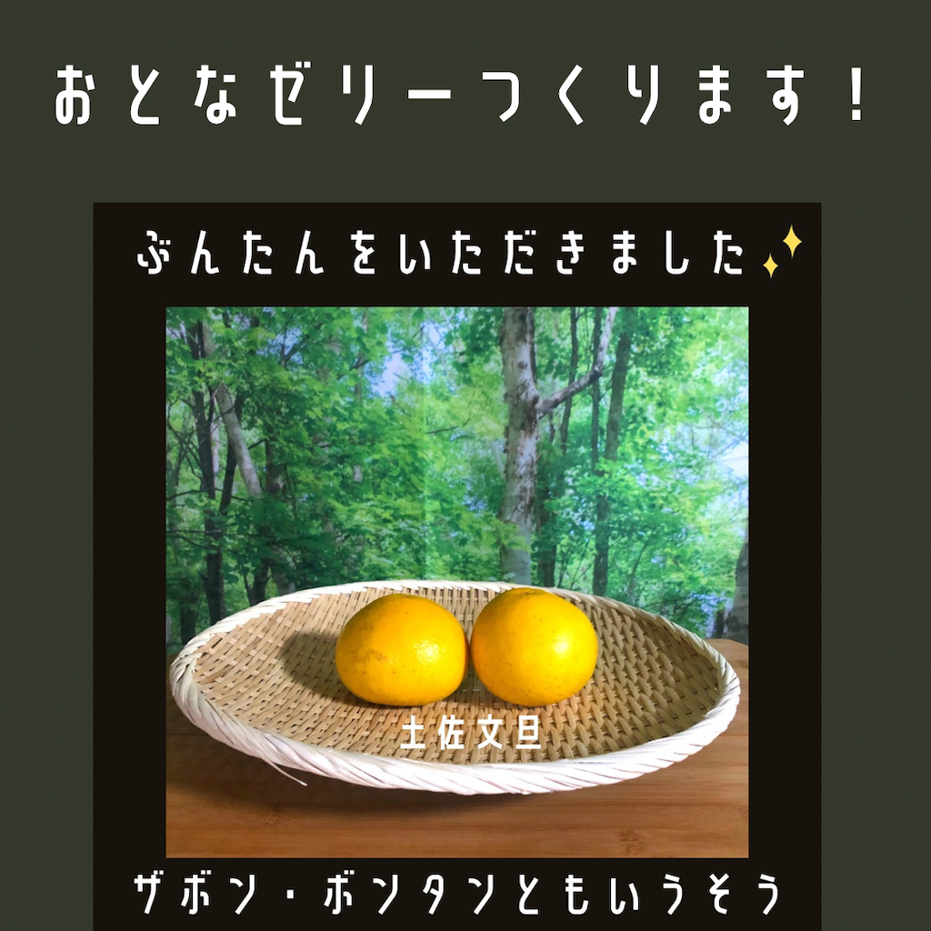 家キャン♪ぶんたん大人ゼリー