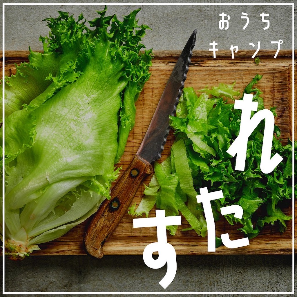 家キャン♪レタス