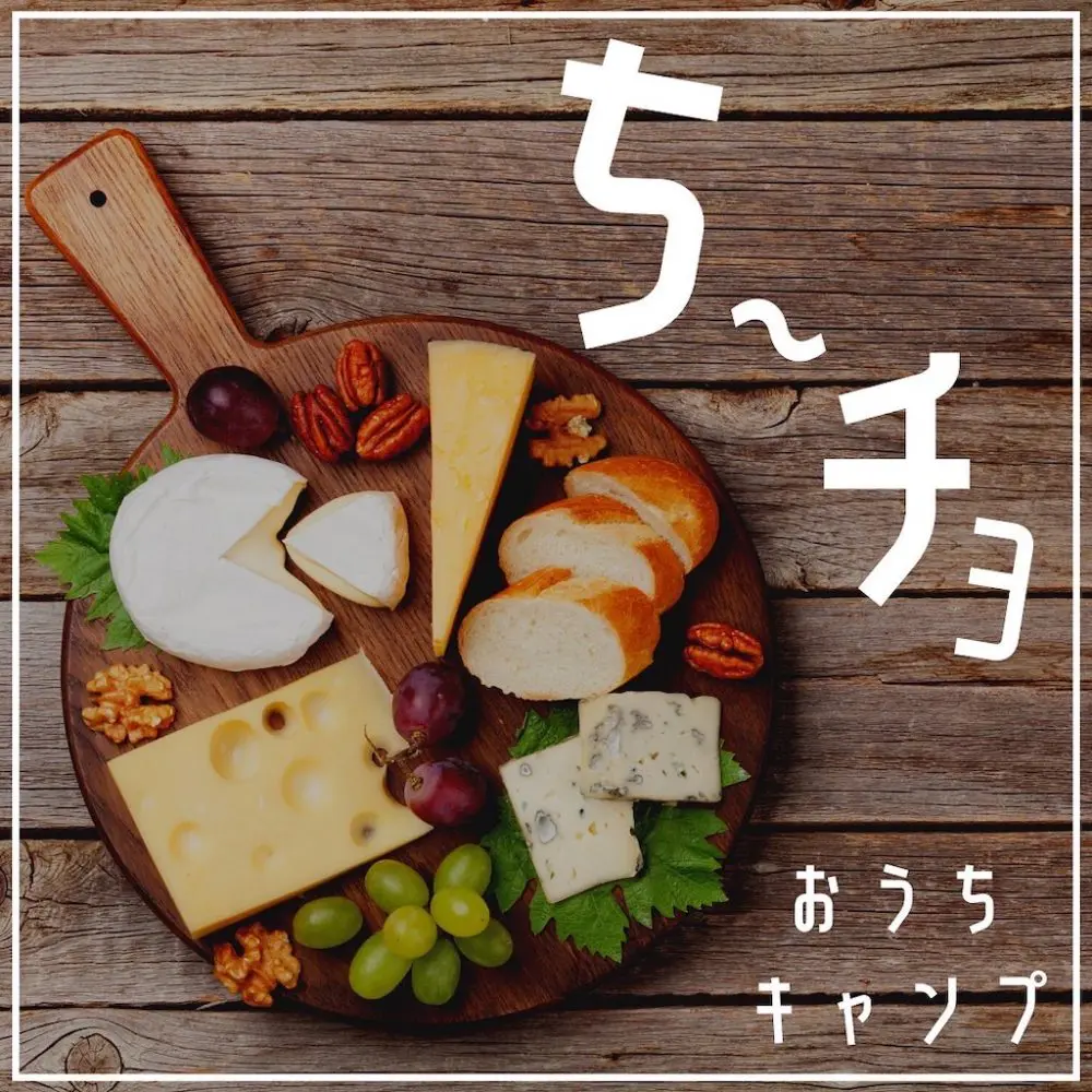 家キャン♪ちーチョ