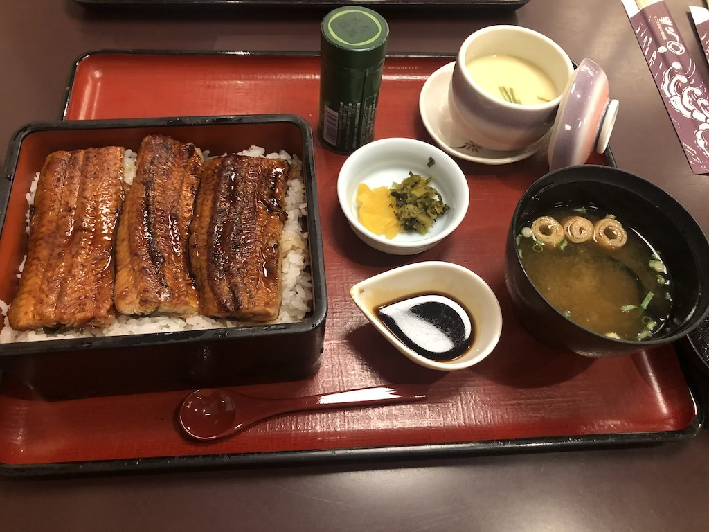 鰻✨
