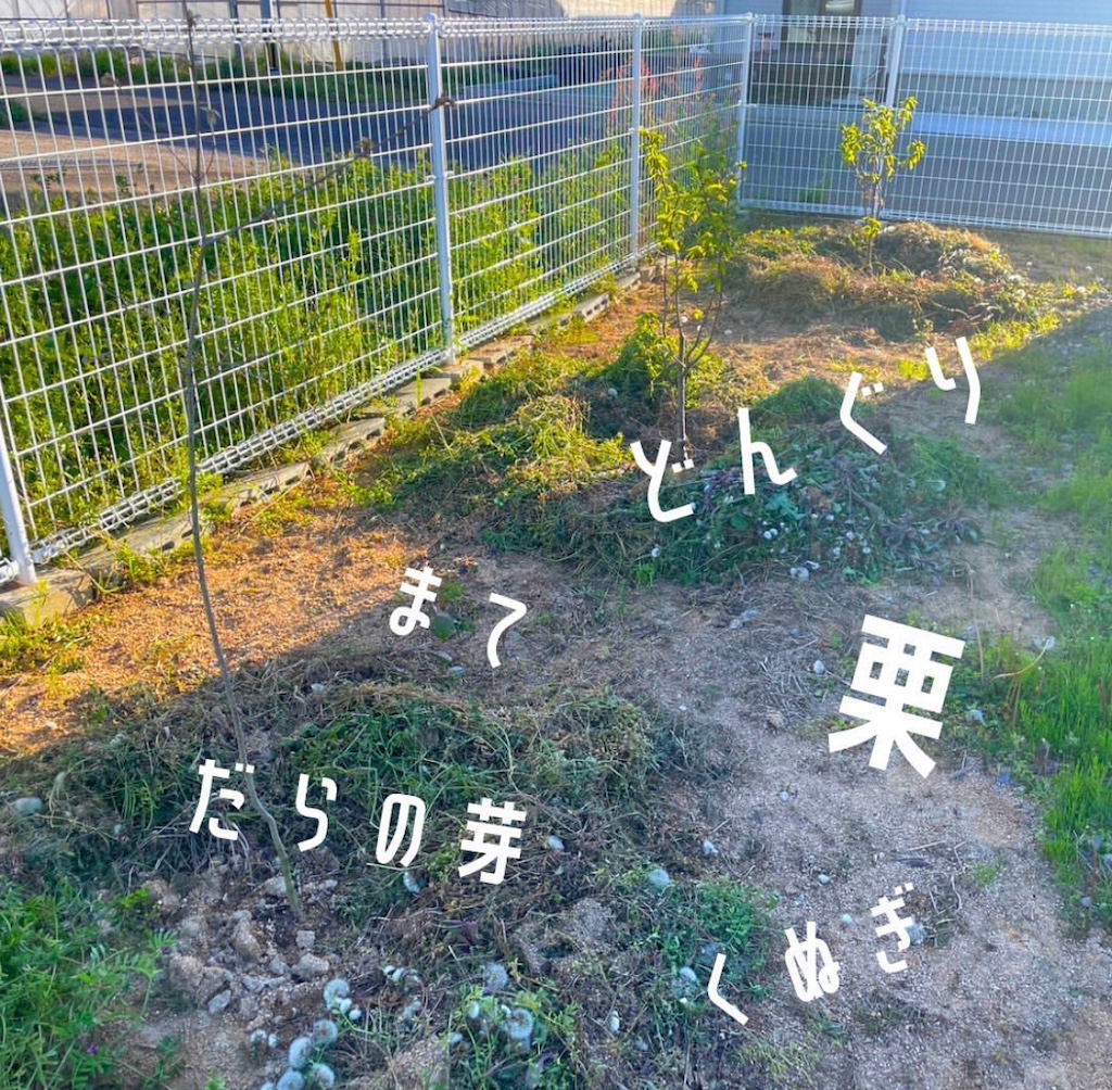 ひるやすみ村栗