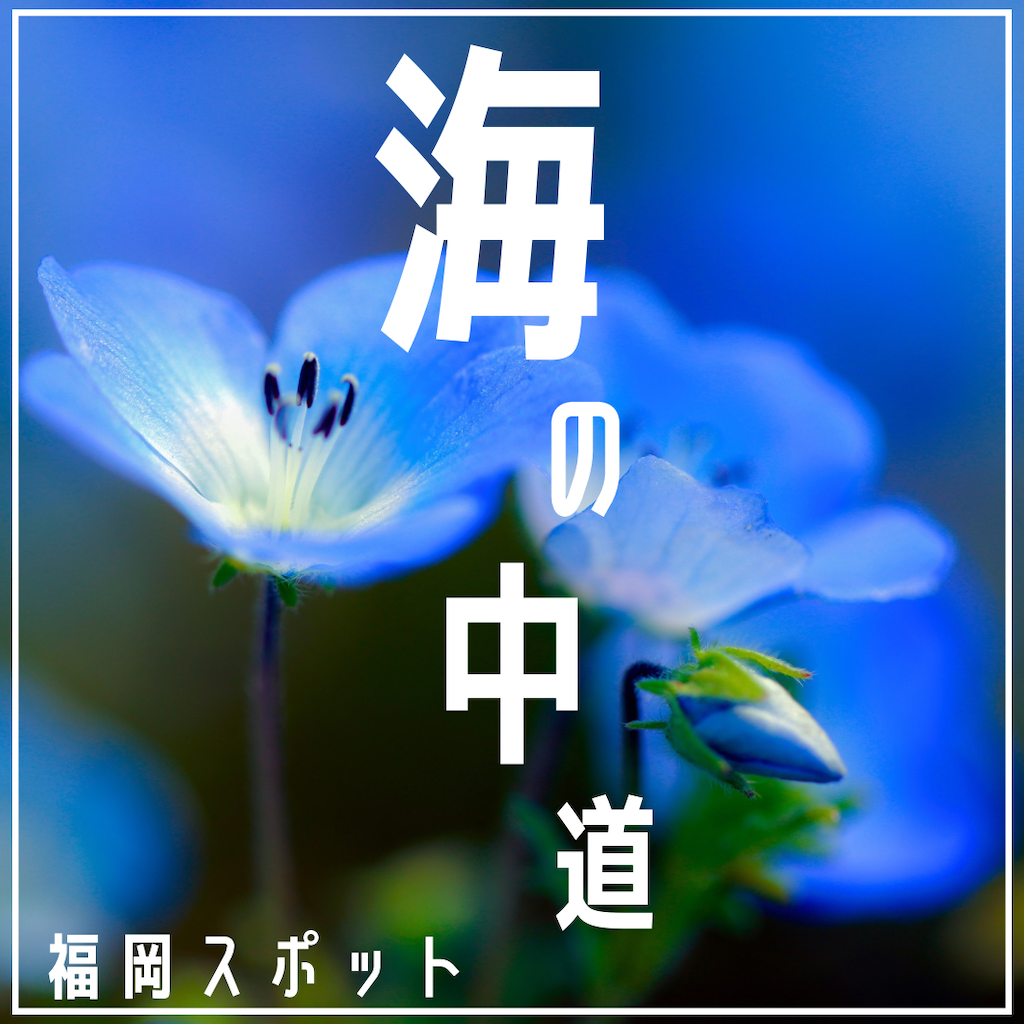 海の中道海浜公園